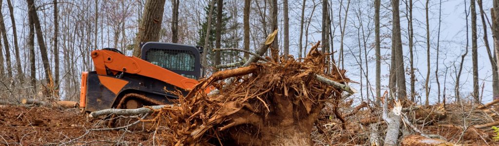 Freshly cut trees for residential construction site in backhoe clearing forest on land clearing