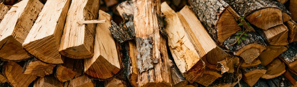 stacked firewood against backdrop of logs and trees in rustic outdoor setting